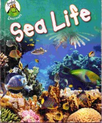 Sea Life